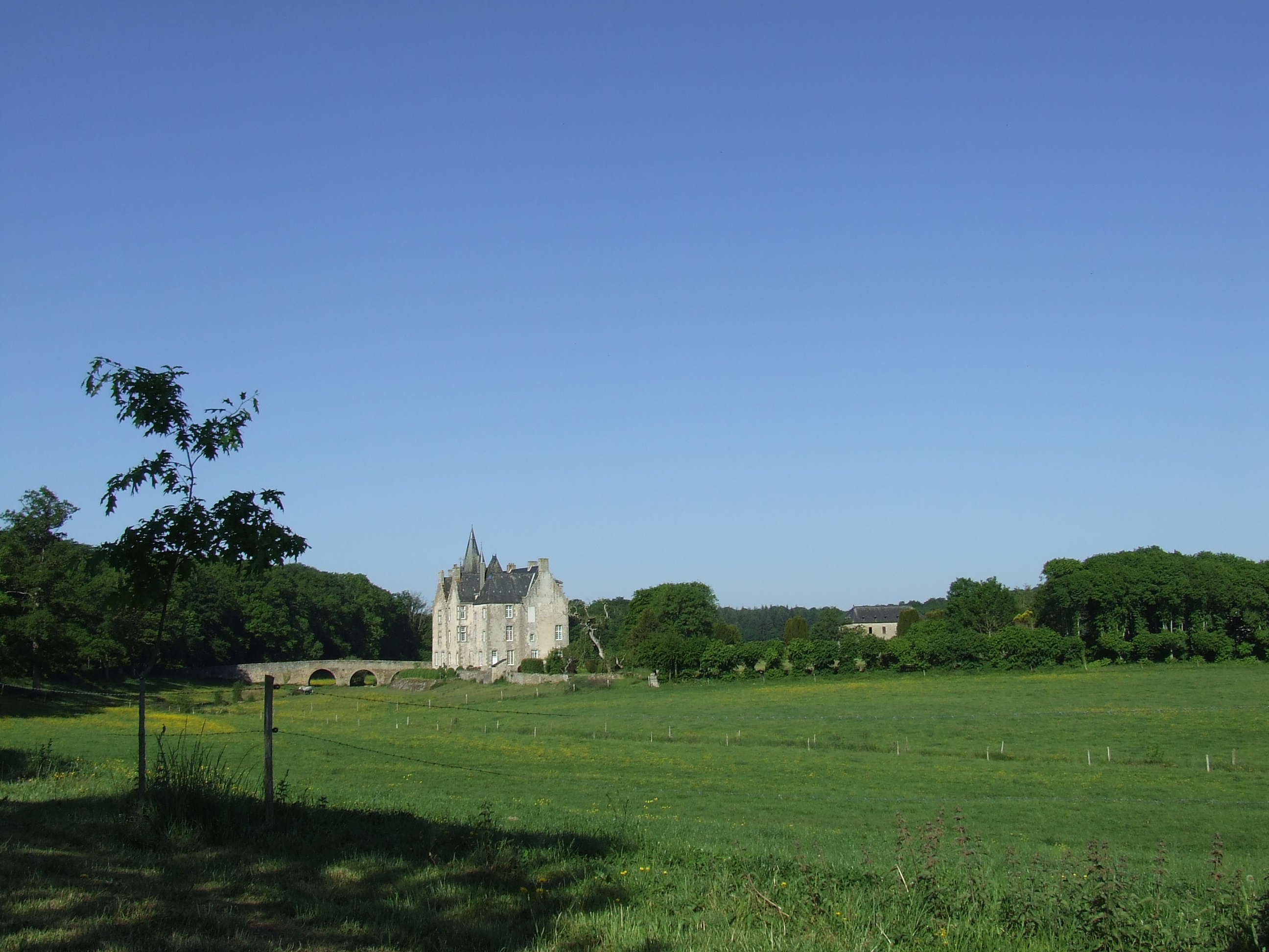Le château de Bourgon au coeur de la nature et de la biodiversité