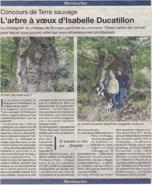 Concours de Terre Sauvage : le châtaigner de Bourgon!