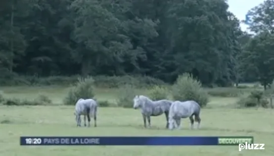 FR3 Pourquoi y a-t-il autant de châteaux en mayenne ?