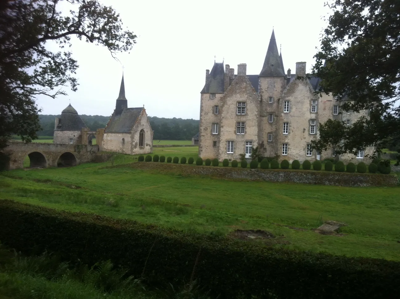 La cigogne noire août 2012