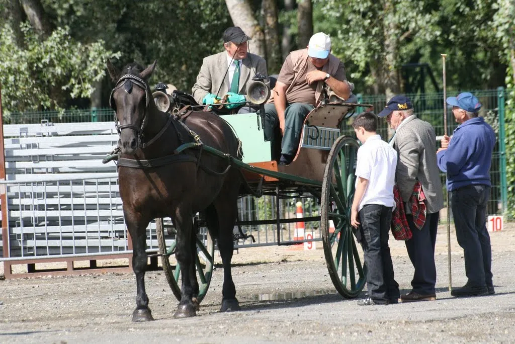 Concours d'attelage à Evron