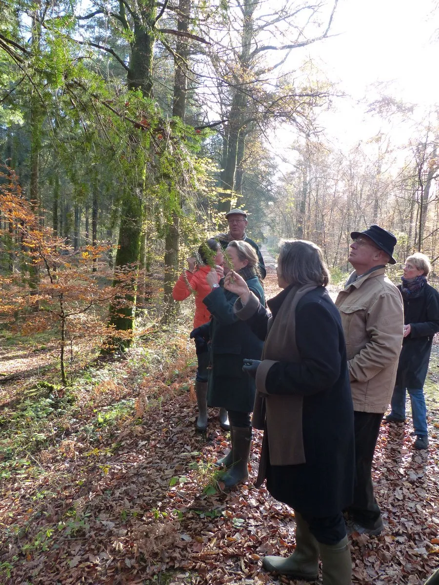 Sortie nature et balade en forêt de Bourgon en images...
