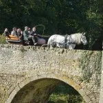 Une percheronne tire une charrette de 8 personnes!