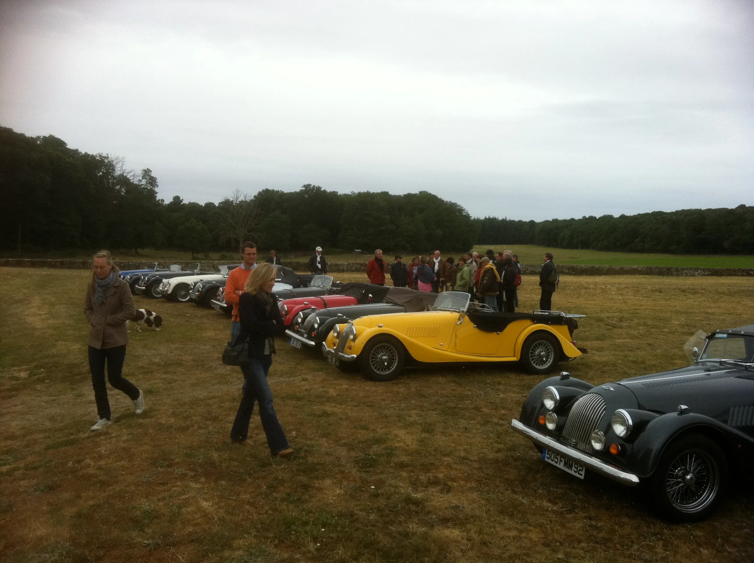 Morgan club