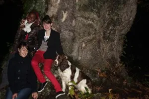 Les stars de la nuit!