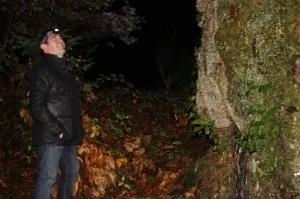 L'arbre porte bonheur L'arbre porte bonheur