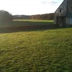 La clairière