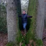 Cépée de 4 chênes au château de Bourgon Cépée de 4 chênes au château de Bourgon