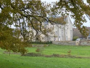 Château et forêt