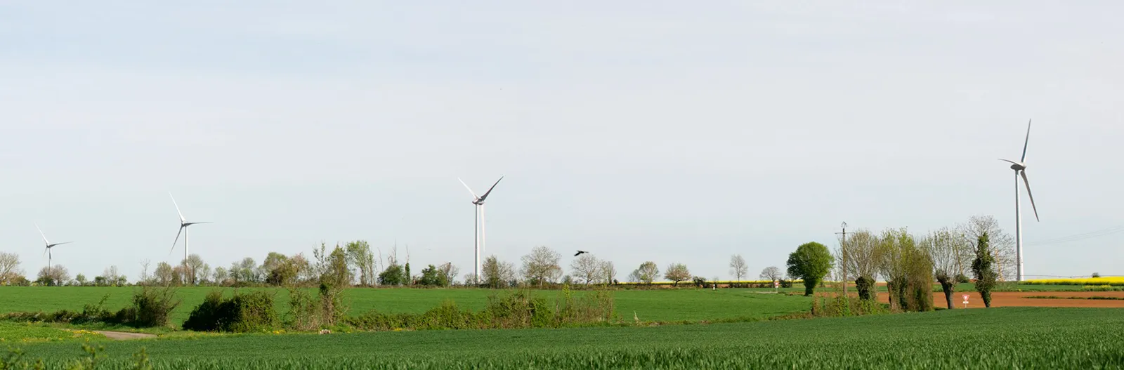 L’éolien industriel : une absurdité écologique, économique et sociale